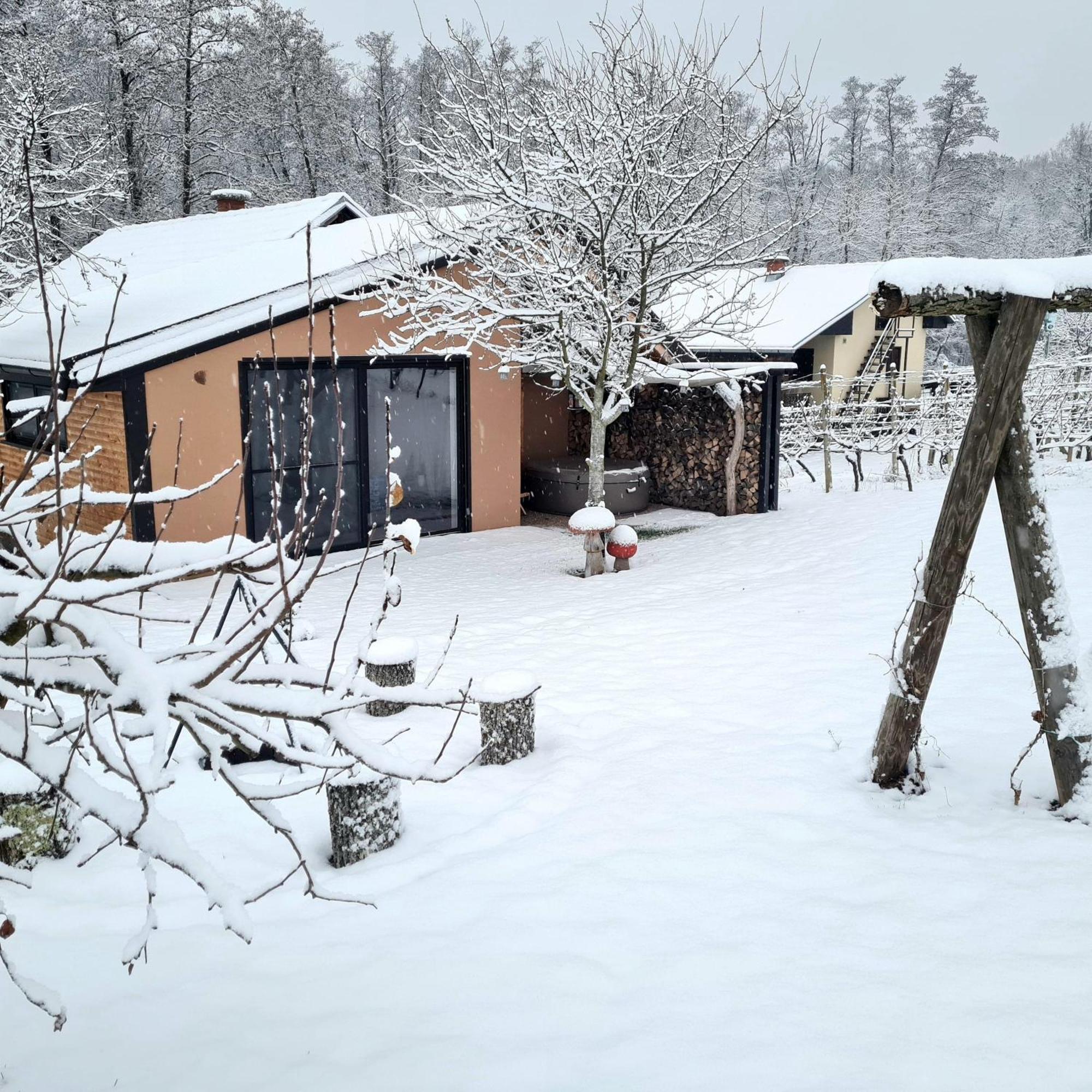 Gozdarjeva Hiska M&K Villa Dobrovnik Exterior photo